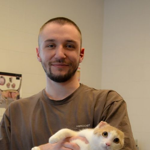 саломатин_м